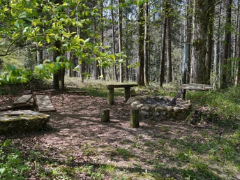 Feuerstelle beim Chlosterwald