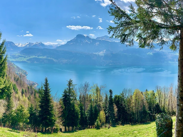 Blick nach Gersau vom Stotzig Urmi aus