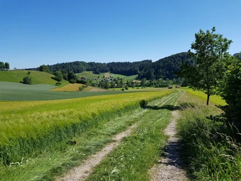 Wir nähern uns wieder den Wässermatten
