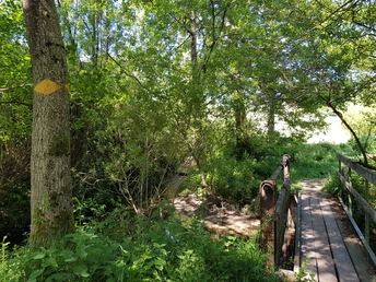 Noch eine letzte Brücke zu überqueren...