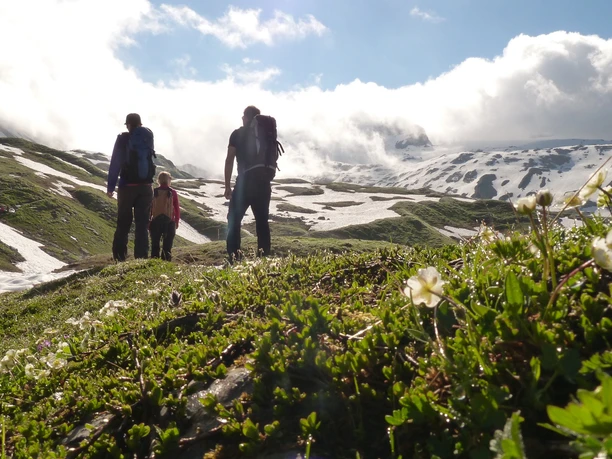Wandergruppe unterwegs Richtung Schneefeld