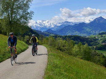 Biketour am Morgartenberg