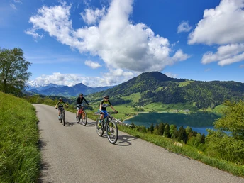 Biketour am Morgartenberg mit Blick auf den Ägerisee