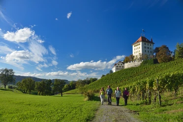 Schloss Heidegg