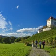 Schloss Heidegg