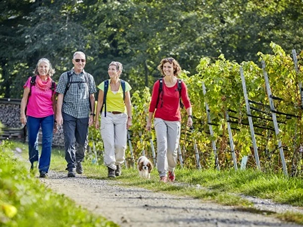 Wandern durch die Rebberge beim Weinbau Kaiserspan