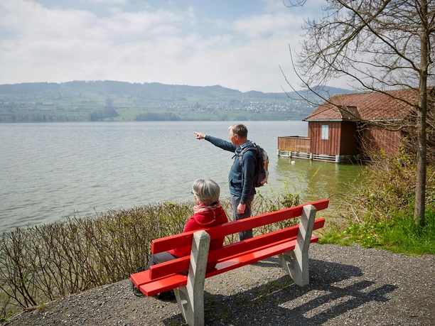 Seerundweg Hallwilersee