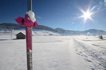 Winterwanderweg Hochmoor Rothenthurm