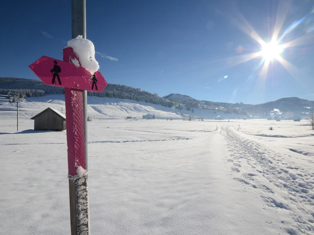 Winterwanderweg Hochmoor Rothenthurm