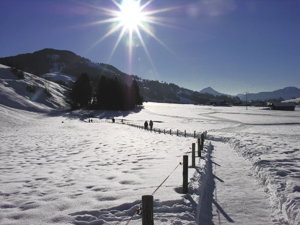 Winterwanderung Hochmoor Rothenthurm