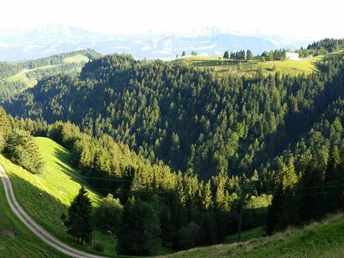 Zwischen Holzwegen und Goldsite, Blick Richtung Südenosten