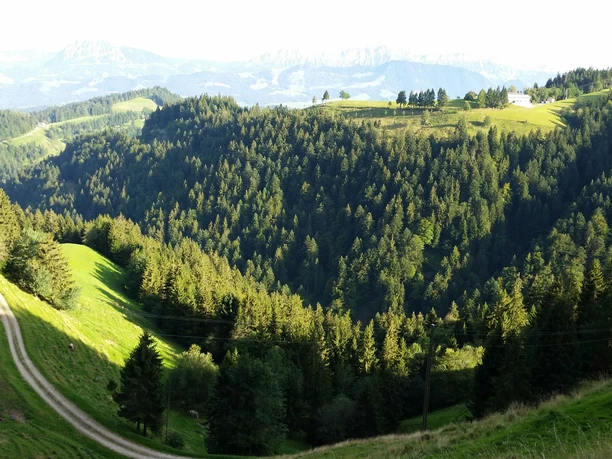 Zwischen Holzwegen und Goldsite, Blick Richtung Südenosten