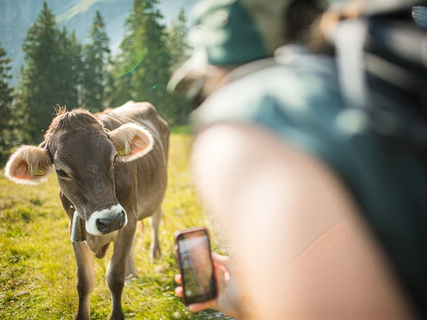 Freundliche Begleiter in der UNESCO Biosphäre Entlebuch.