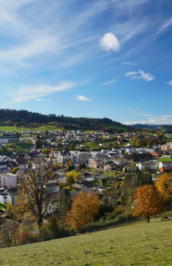 Aussicht vom Aussichtspunkt Gütsch