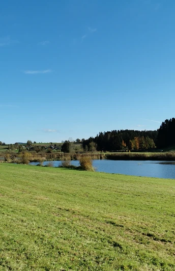 Weiherlandschaft Ostergau