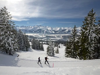 Winterwanderung Mythenregion mit Bergpanorama