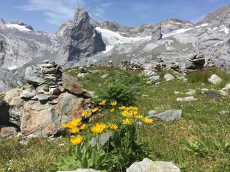 Aussicht von der Hüfihütte
