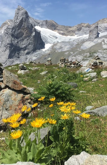 Aussicht von der Hüfihütte