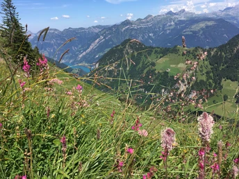 Aussich von Sassiggrat