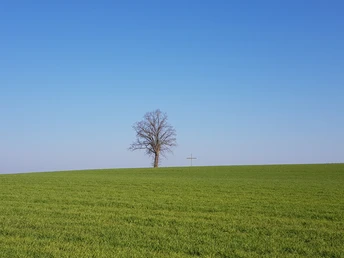 Auf der Anhöhe Olisrüti