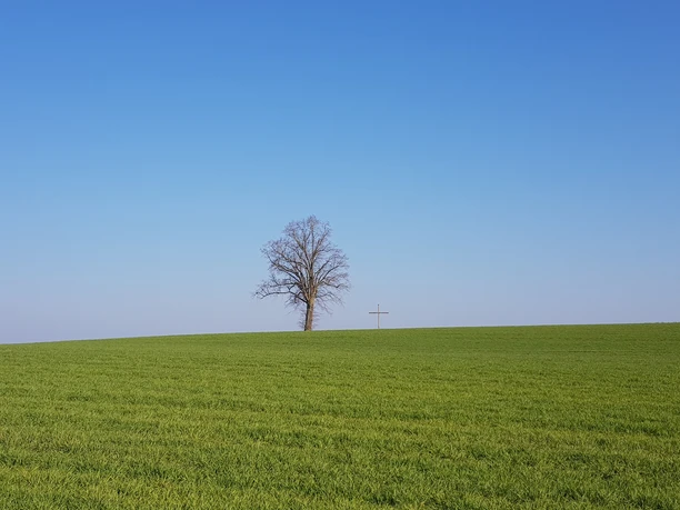 Auf der Anhöhe Olisrüti