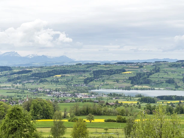 Blick auf den Hallwilersee von der Höhenroute
