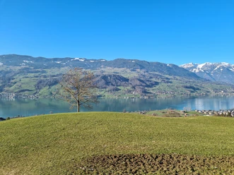 Sachsler Höhenweg