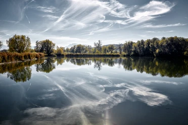 Baldeggersee