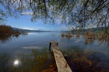 Baldeggersee