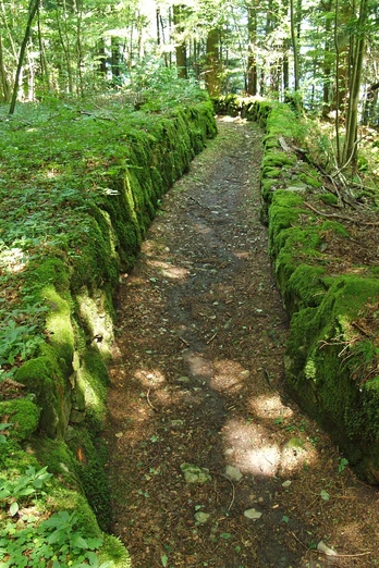Über den alten Landweg ins romantische Isenthal.