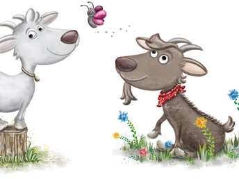 Ziegen des Geissä Wägs