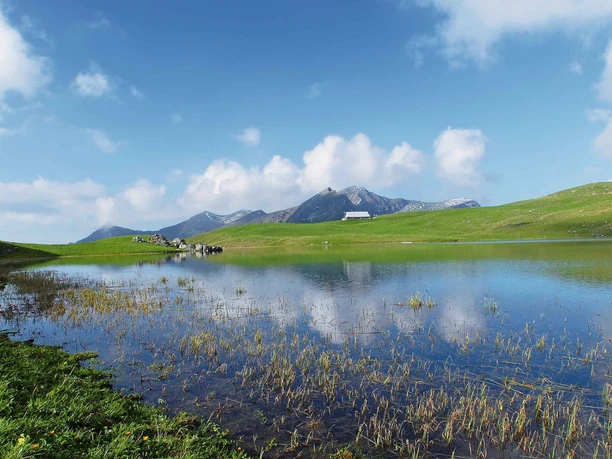 Seefeldsee Älggialp