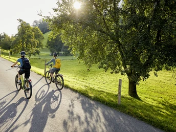 Idyllische Wiesenlandschaften in Ennerberg, Oberdorf