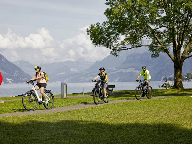 Velotour vorbei am Badeplatz Neuseeland