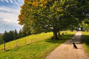 Kurze Rast auf der Krete