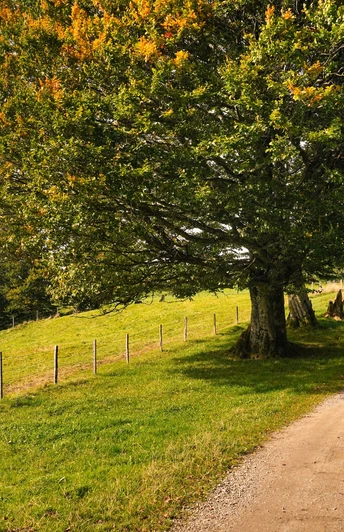 Kurze Rast auf der Krete