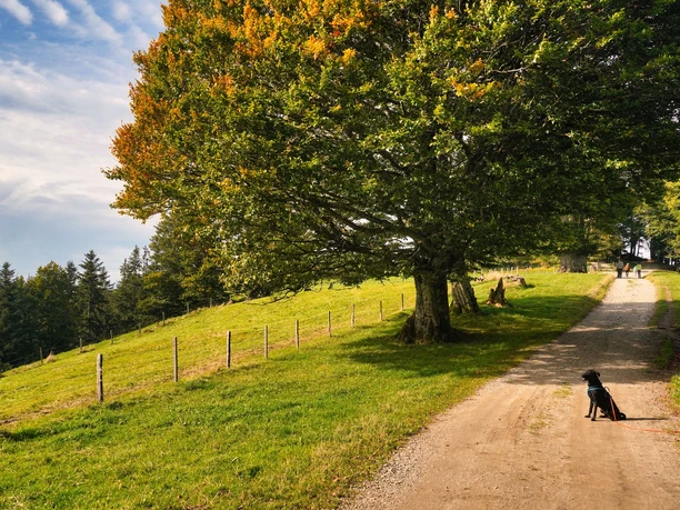 Kurze Rast auf der Krete