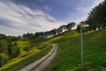Entlang des Grenzpfades
