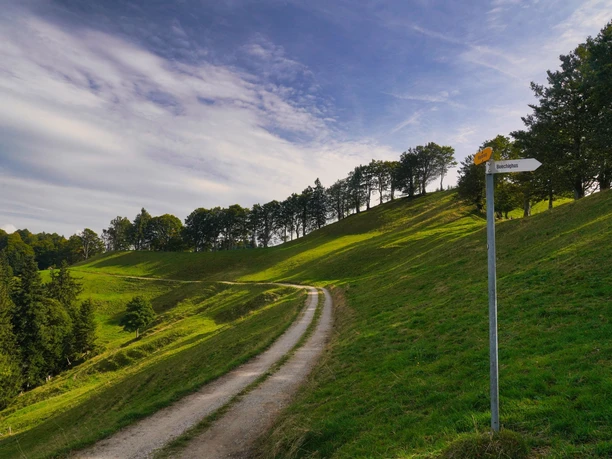 Entlang des Grenzpfades