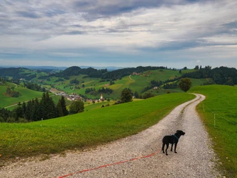 Schon erblicken wir wieder das Dorf Luthern