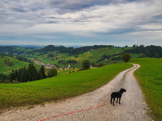 Schon erblicken wir wieder das Dorf Luthern