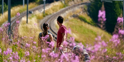 Die Wanderung Rigi Kulm - Rigi Staffel ist auch mit dem Kinderwagen möglich