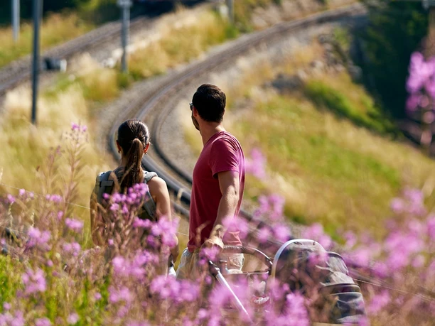 Die Wanderung Rigi Kulm - Rigi Staffel ist auch mit dem Kinderwagen möglich