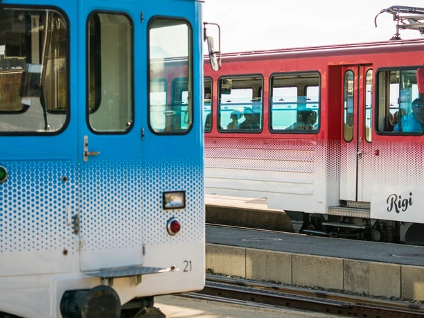 Rigi Staffel: Treffpunkt der Zahnradbahnen ab Goldau und Vitznau
