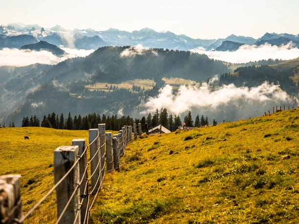 Rigi Kulm, Start der Wanderung