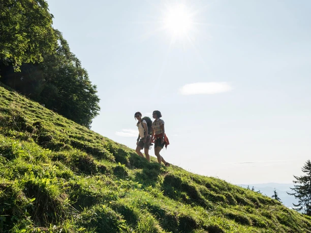 Es erwartet Sie ein steiler Anstieg bis zum Gipfel