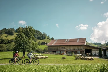 E-Biker auf Besuch bei der Emscha Schafmilchproduktion im Entlebuch.