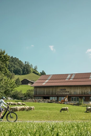 E-Biker auf Besuch bei der Emscha Schafmilchproduktion im Entlebuch.