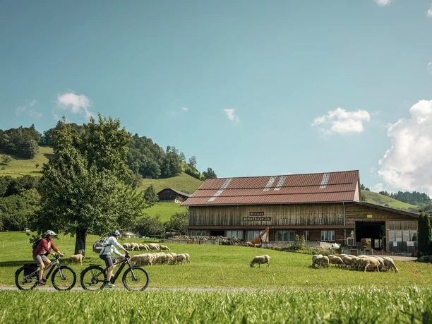 E-Biker auf Besuch bei der Emscha Schafmilchproduktion im Entlebuch.