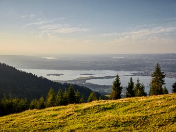 Aussicht vom Stöcklichrüz auf die Region Zürichsee